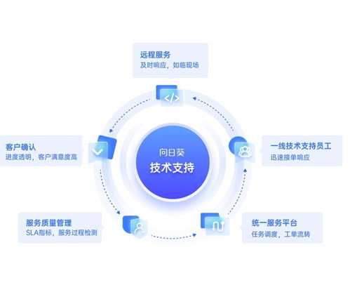 高效遠(yuǎn)程協(xié)助與工單自動(dòng)流轉(zhuǎn) 貝銳向日葵如何賦能企業(yè)售后技術(shù)支持與軟件外包服務(wù)